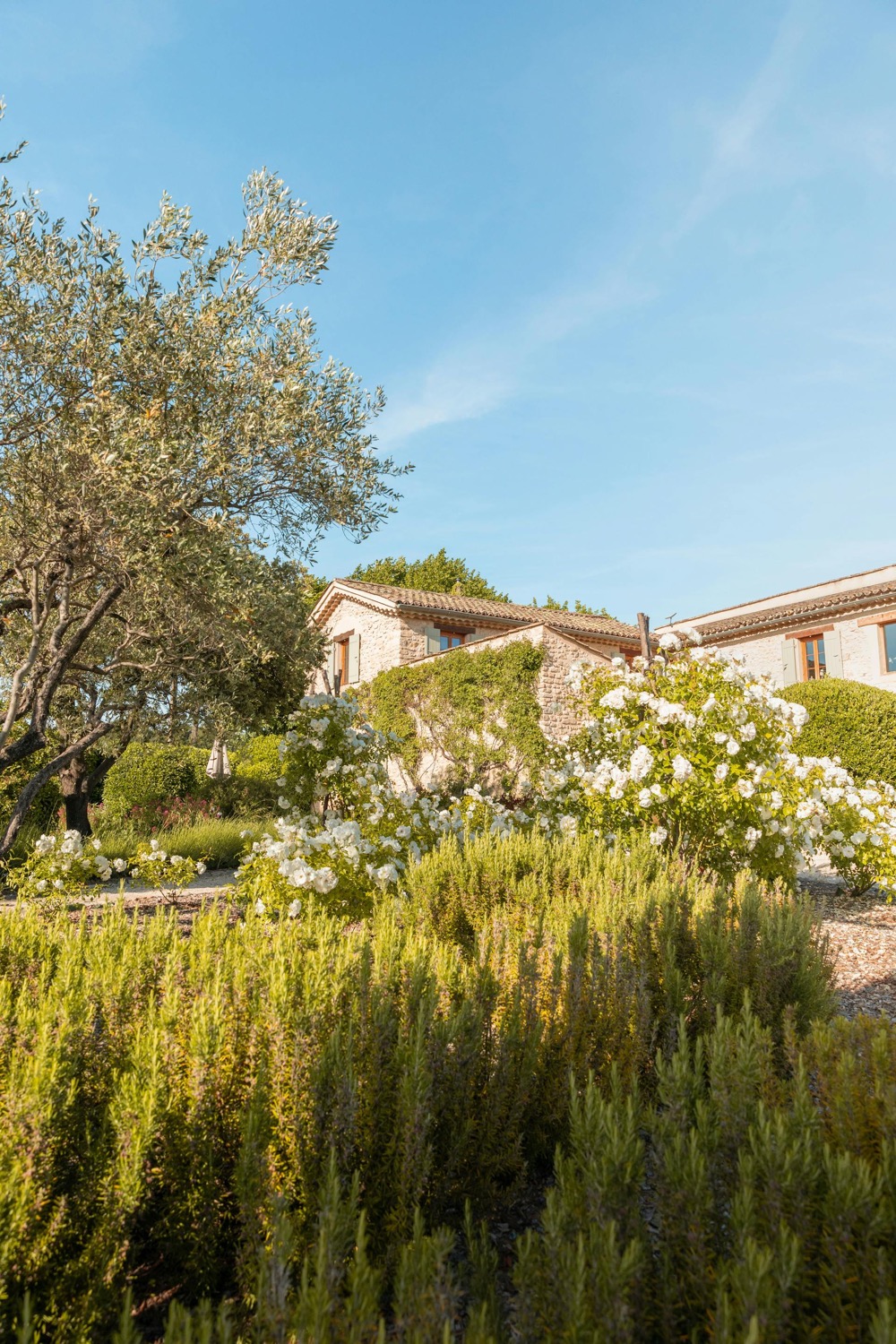 Maison de pierre et jardin d'oliviers sous la lumière de la Côte d'Azur